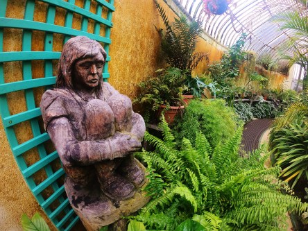 Palm House in the Botanic Gardens