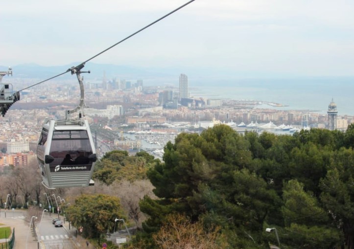 whatsapp image 2019-01-21 at 00.21.36(2)