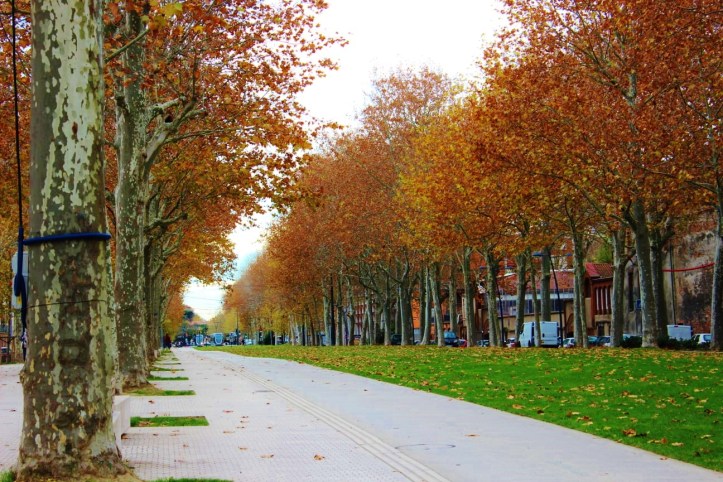 WhatsApp Image 2018-12-16 at 21.10.39