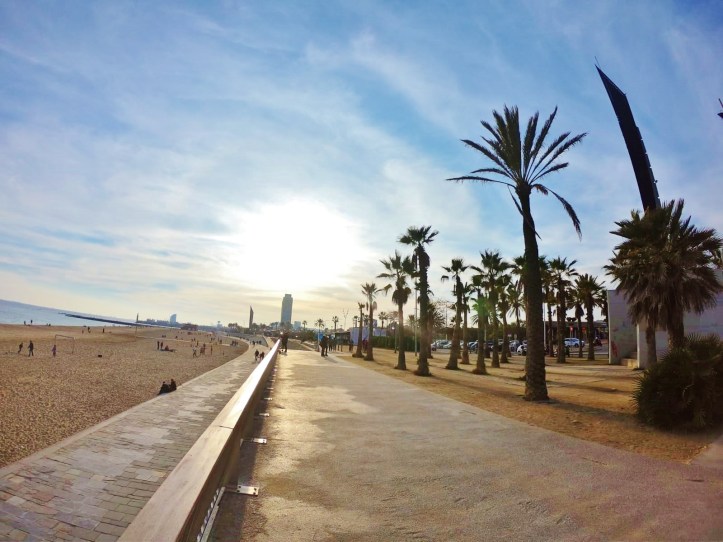 WhatsApp Image 2019-01-19 at 19.40.39