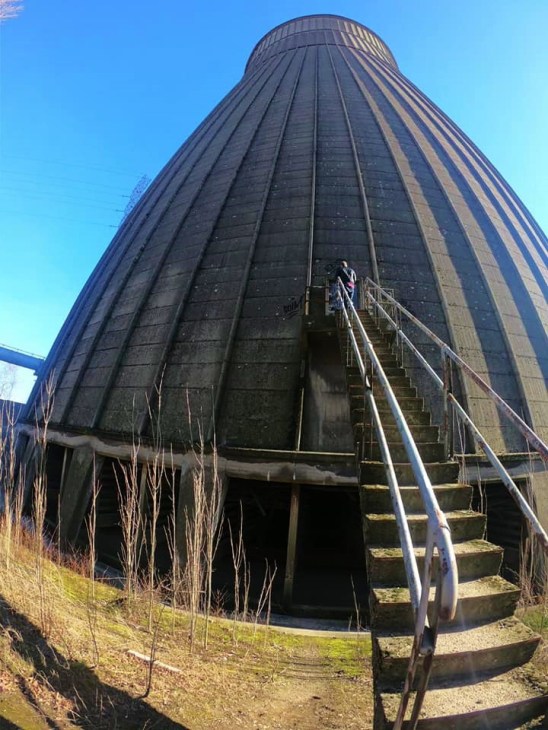 52598019_10156137944592643_7931780825832488960_n