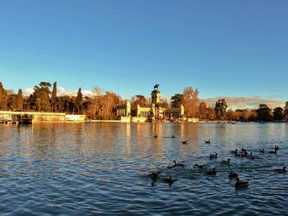 50985287_10156100675377643_2933005309280518144_n