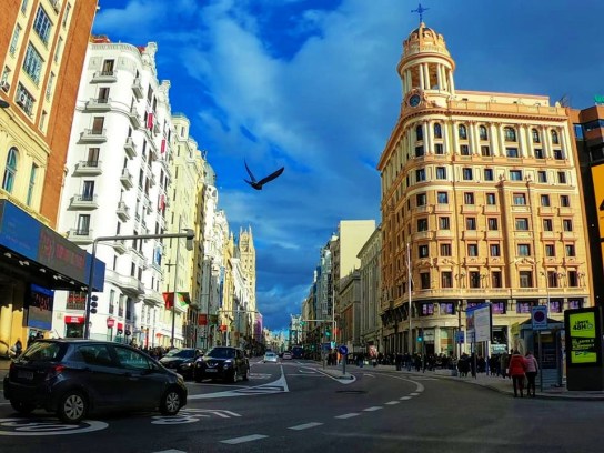 51373577_10156100675482643_762441335960502272_n